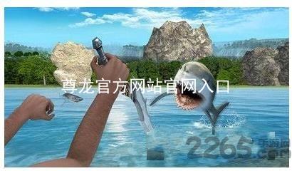 尊龙官方网站官网入口