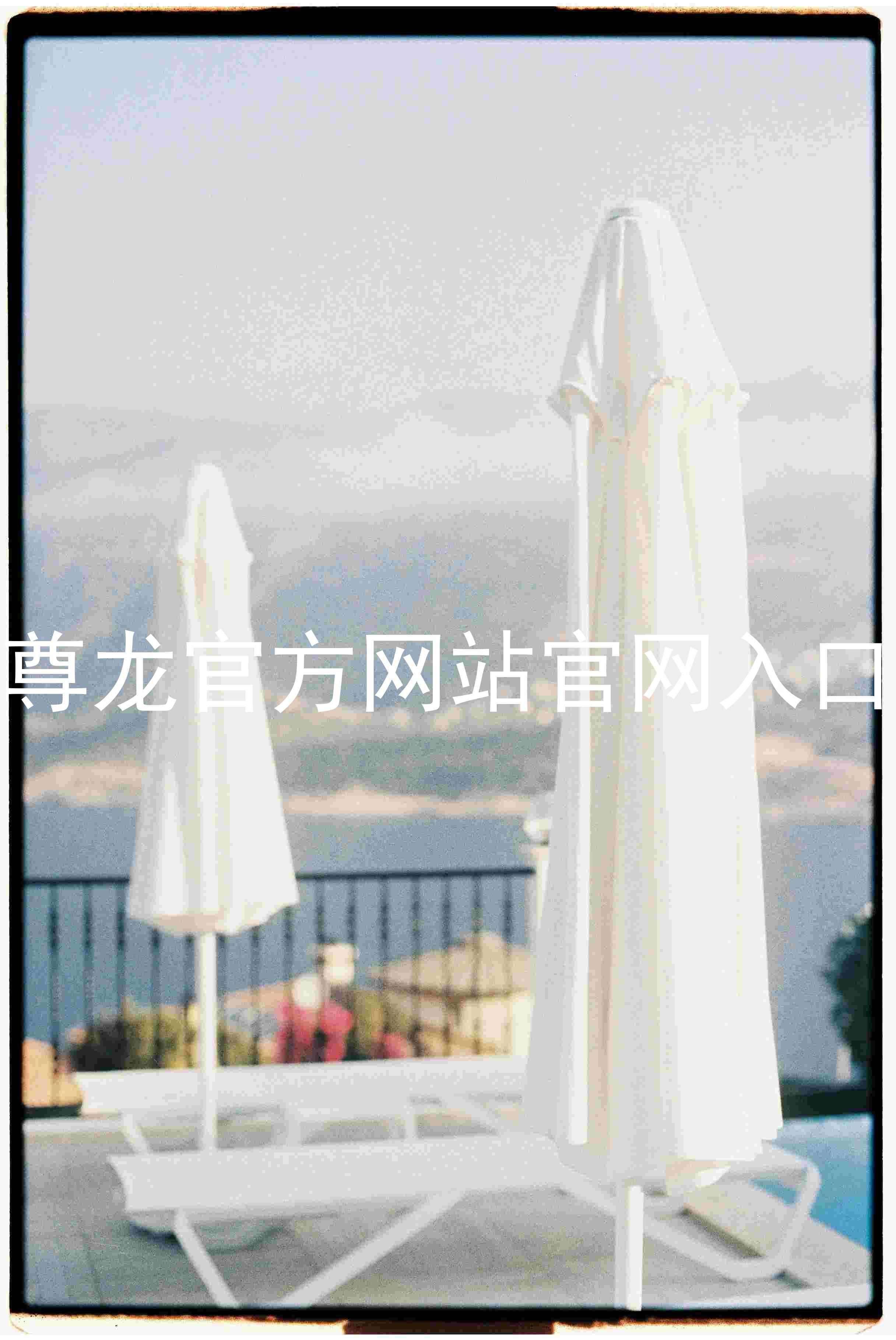 尊龙官方网站官网入口