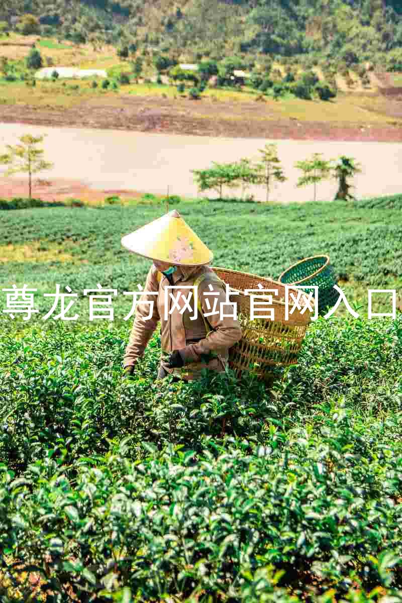 尊龙官方网站官网入口