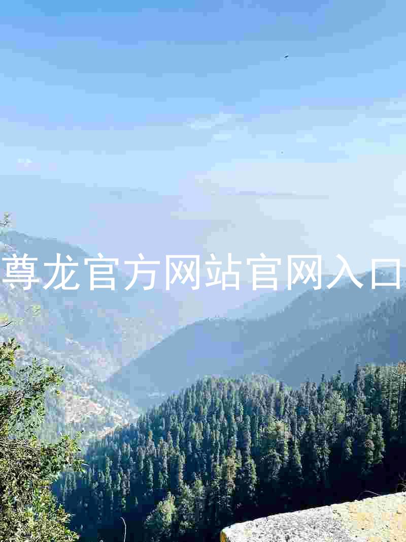 尊龙官方网站官网入口
