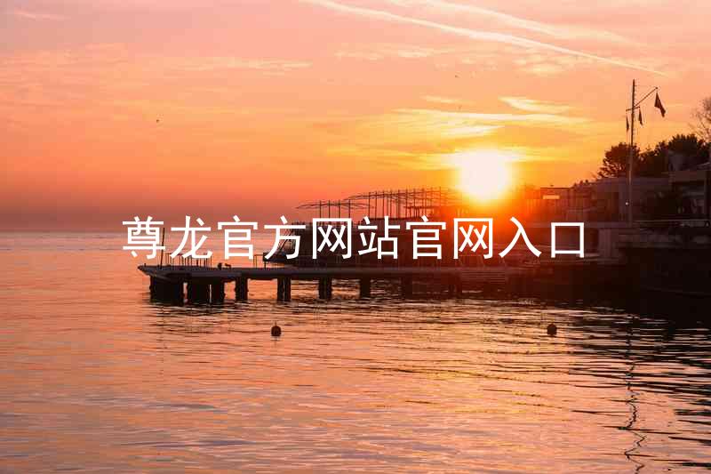 尊龙官方网站官网入口