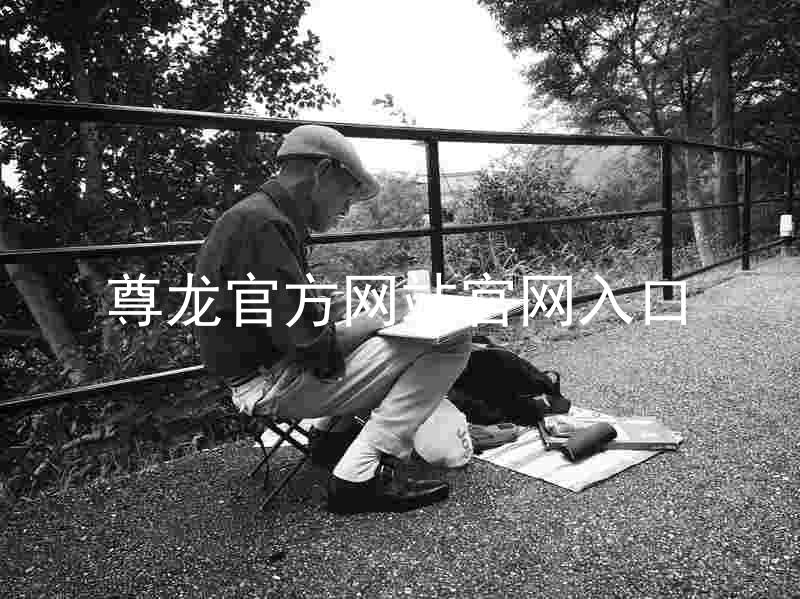 尊龙官方网站官网入口