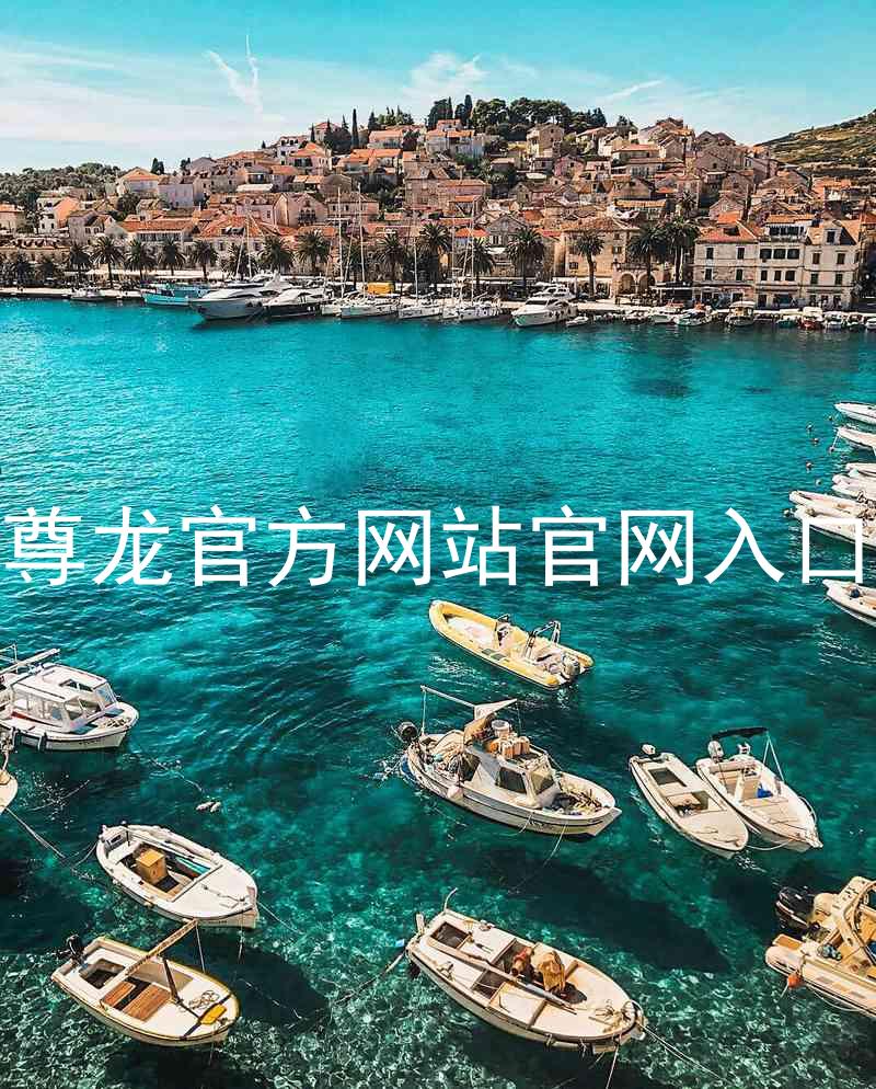 尊龙官方网站官网入口