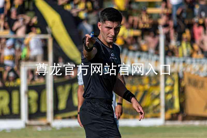 尊龙官方网站官网入口
