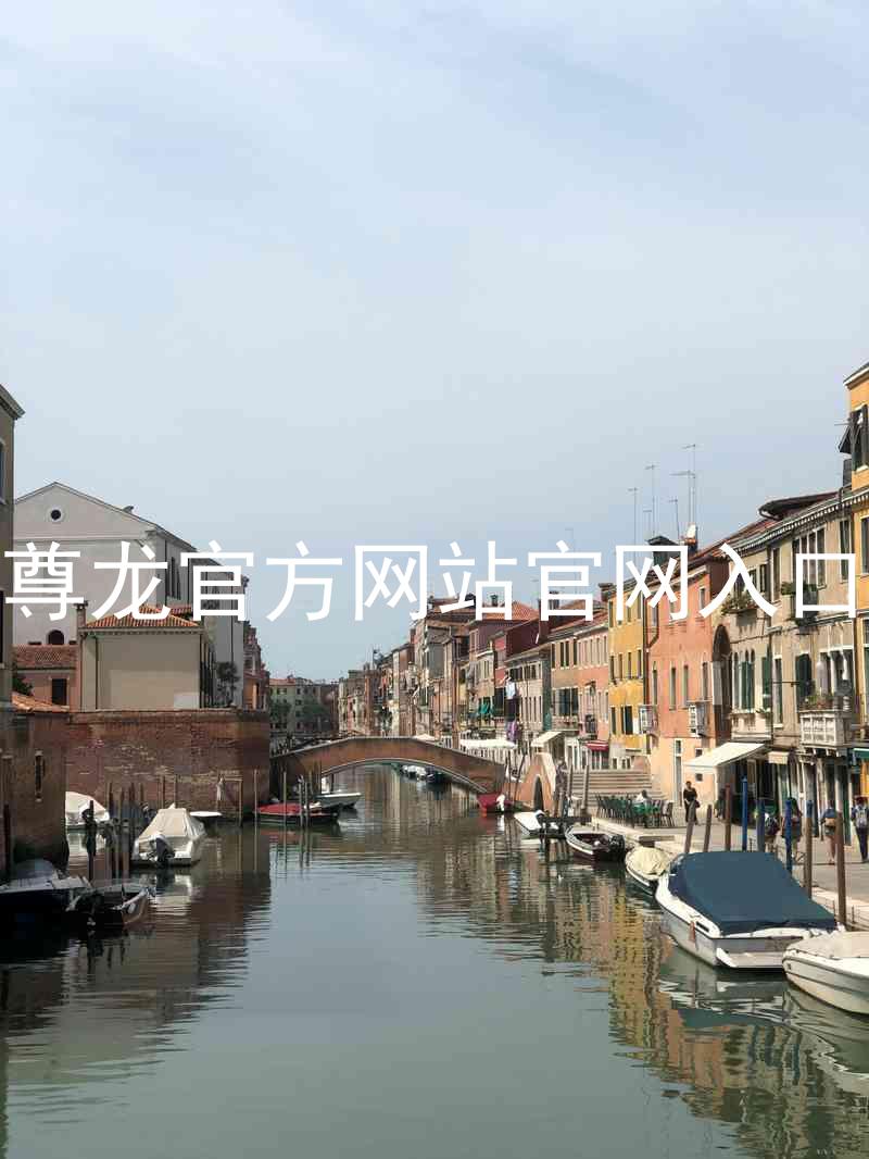 尊龙官方网站官网入口