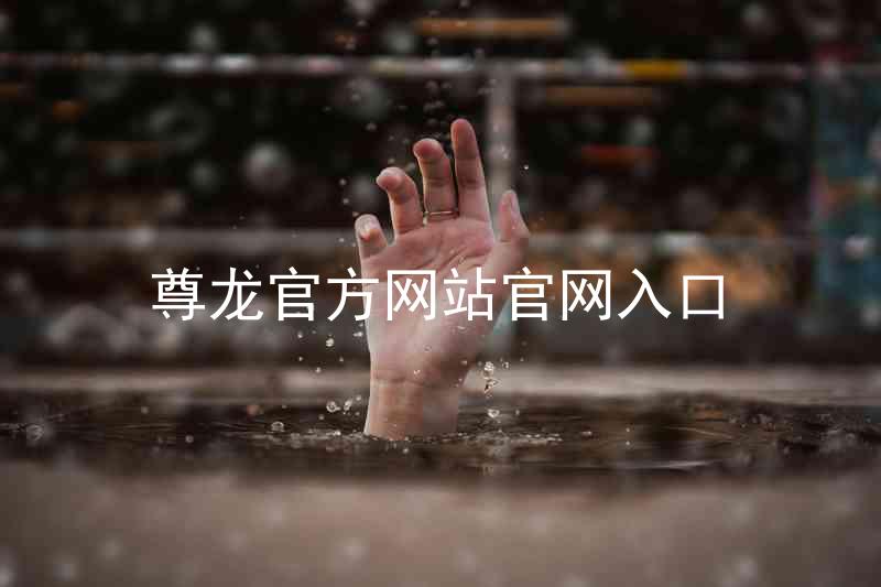 尊龙官方网站官网入口