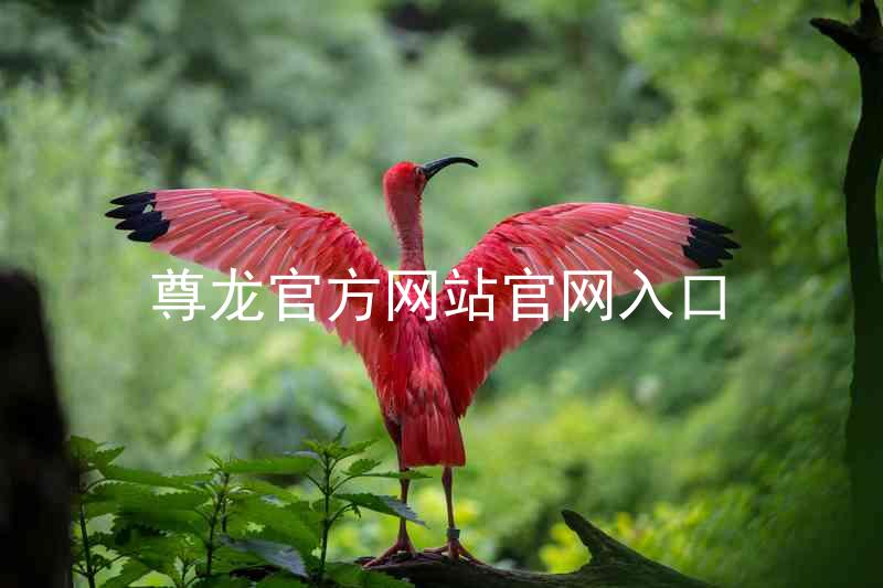 尊龙官方网站官网入口
