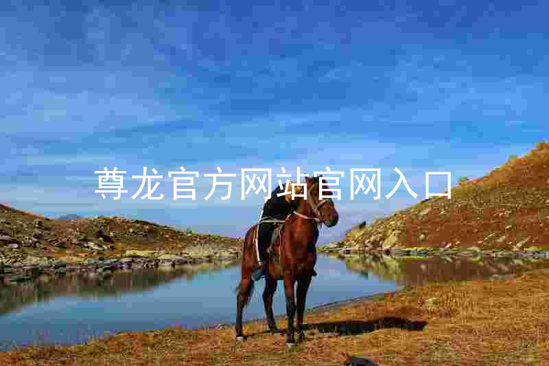 尊龙官方网站官网入口