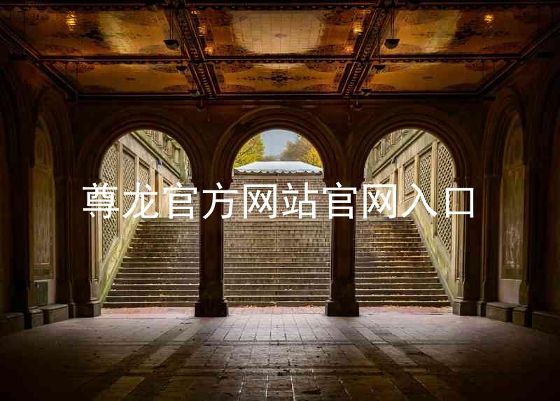 尊龙官方网站官网入口